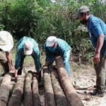 Aterrizan en México vacunas antiCOVID; mañana las aplican