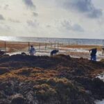 UIF y Segob firman convenio para frenar corrupción en iglesias y sorteos