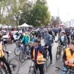 Nueva terapia para pacientes hemofílicos busca disminuir sangrados