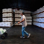 Con Programa Higiene de Columna del IMSS, pacientes logran una adecuada postura correcta