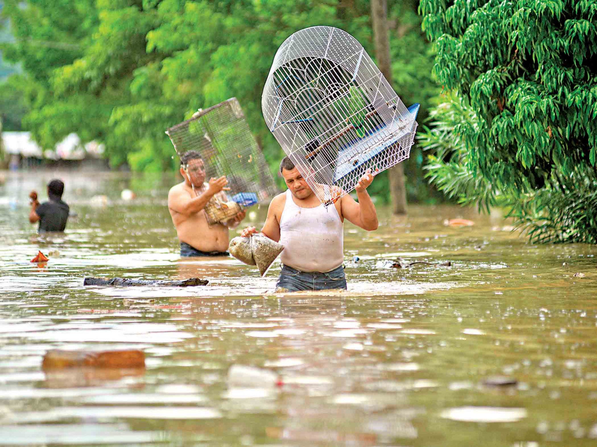Desastre Natural en México: Lluvias Tormentas Deja un Balance de Muertes y Destrucción en Cuatro Estados.